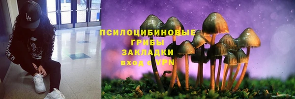 МДМА Ельня