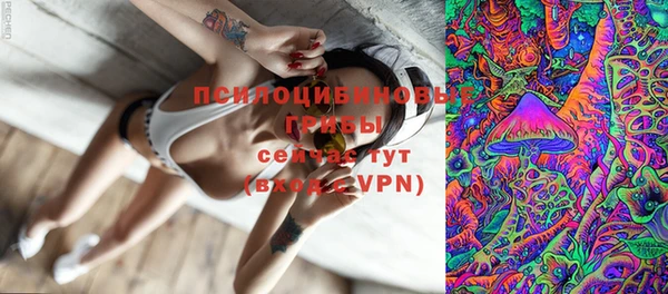 МДМА Ельня