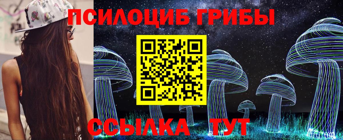 Галлюциногенные грибы Cubensis Коломна